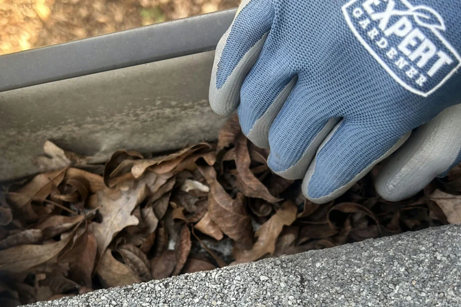 Gutter Cleaning Trafalgar